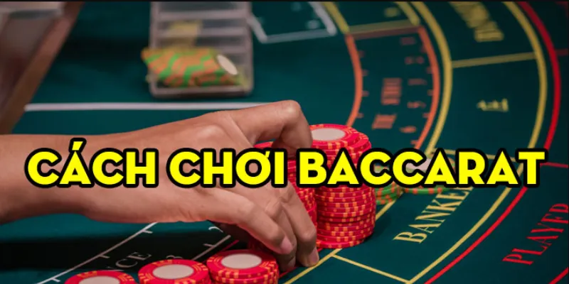 Một số kiểu cược baccarat tại Go88